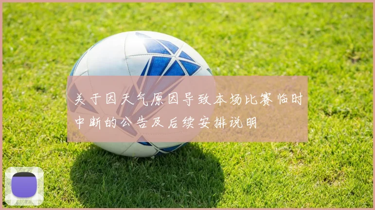 关于因天气原因导致本场比赛临时中断的公告及后续安排说明